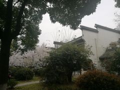 -堤角公园