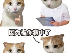 -小杨生煎(江南环球港店)