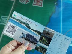 -广东惠东海龟国家级自然保护区