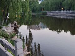 -文瀛公园
