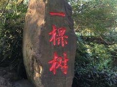 景观位-老幺泉水鸡