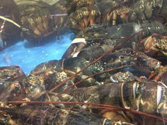 -上和臻品中国菜(花园街店)