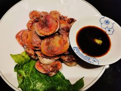 血蚶-高佳庄·舟山海鲜(海景旗舰店)