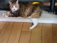 -牧羊餐厅