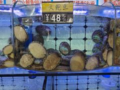 -日照大牌檔•小船海鲜(万平口店)