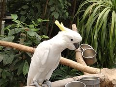 -南宫五洲植物乐园