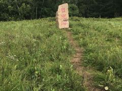 -塞罕坝国家级自然保护区