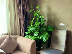 -大香港酒楼(国宾店)