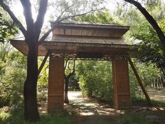 -大兴滨河森林公园