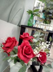 -时间海科学美容