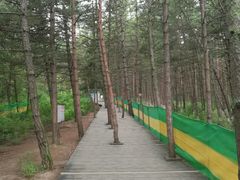 -帽儿山国家森林公园