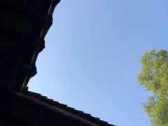 -下塘街25号农家菜馆(新场店)
