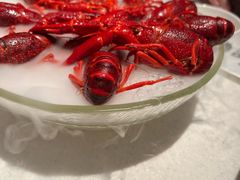 -红盔甲·小龙虾(天钥桥店)
