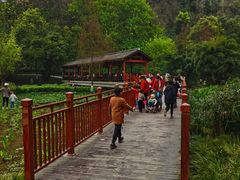 -重庆彩云湖湿地公园