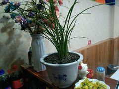 -乡土特色.冷锅鱼.牦牛肉汤锅