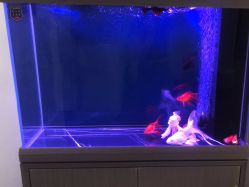 -海涛医疗美容·面部抗衰·注射美鼻