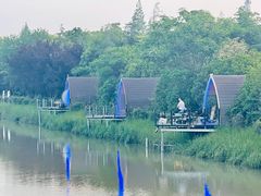 -海上花岛玫瑰园采摘