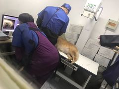-达爱动物医院·犬猫分区·CT·复杂眼科(远洋山水分院)