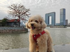 -喜洲吧·江畔老船厂·庭院餐厅(喜临院店)