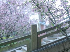 -杭州城北体育公园