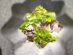 -粤剧艺术博物馆