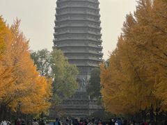 -玲珑塔公园