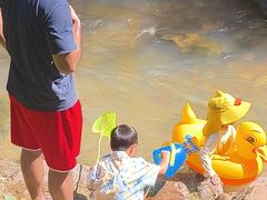 -广州白江湖森林公园