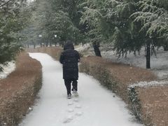 -洨河生态公园