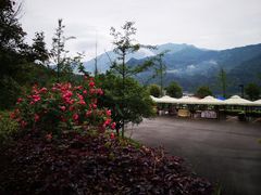 -太阳湾风景区