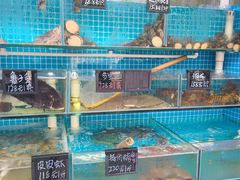 -北戴河庆山饭店·海鲜砂锅粥(北戴河黑石路店)