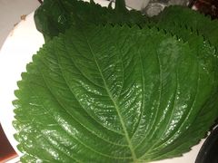-松明一烤肉馆(鲁园店)