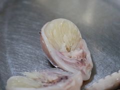 -铭聚章鱼土笋冻(松柏店)