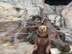 -珠海长隆海洋王国