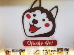 -Husky Go! 哈士奇体验馆·宠物咖啡厅狗咖
