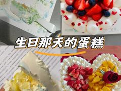 -维尔纳斯·生日蛋糕动物奶油冰淇淋蛋糕(人大店)