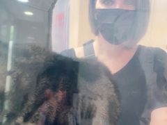-申普宠物医院·心脏介入·心血管微创(总院)