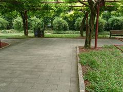 -嘉定紫藤园
