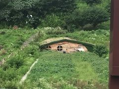 -南宁花花大世界景区