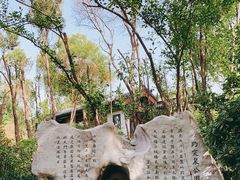 -趵突泉景区