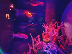 -沈阳海洋探索中心