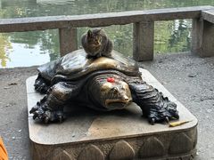 -西园戒幢律寺