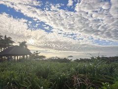 -三亚亚龙湾红树林度假酒店