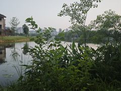 -洋湖国家湿地公园