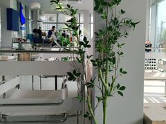 -Cetus coffee鲸鱼座咖啡·拼豆(二仙桥公园店)
