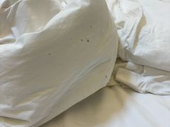 -抚顺中伟假日国际酒店