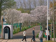 -柳鹭田园区