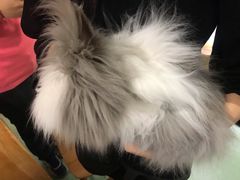 -藦茜花园宠物主题亲子互动体验馆(国顺东路店)