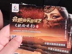 -《驼铃传奇》秀