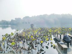 -西湖游船