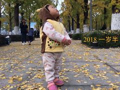 -百林公园-两江幸福广场